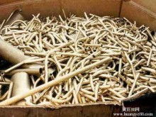  溫州市龍灣狀元力天緊固件制品廠 銷售部 主營 生產(chǎn)鐵銅鋁不銹鋼鋅合